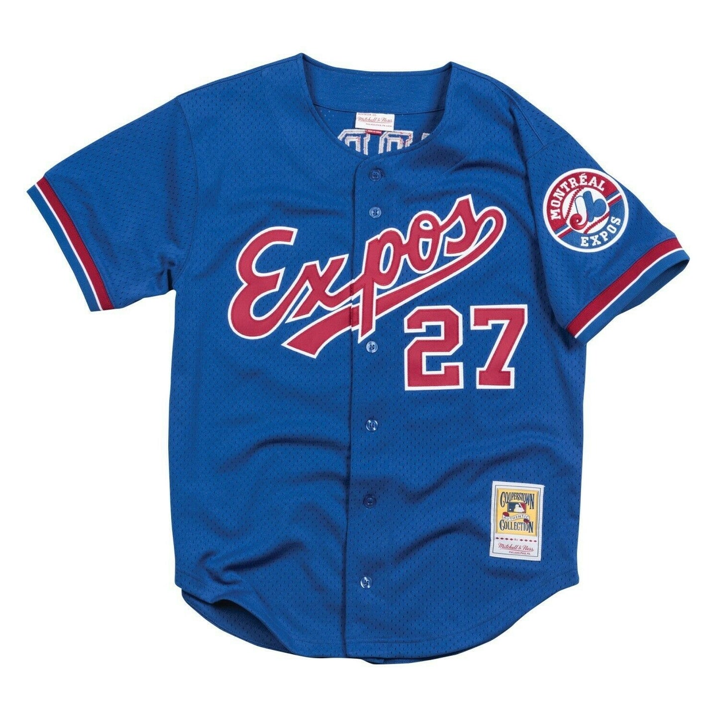 Men's Montreal Expos Vladimir Guerrero Mitchell & Ness Royal 2002 Authentic Cooperstown Collection Mesh Batting Practice Jersey Official Team Jersey Sports Fan Apparel Official NFL Team Jersey Football Fan Apparel