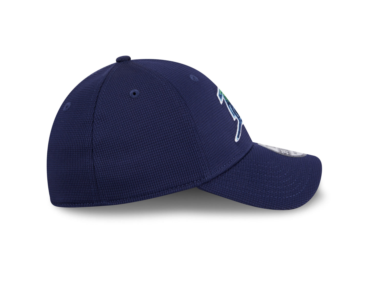 Men's Tampa Bay Rays New Era 2024 Batting Practice Navy 39THIRTY Flex-Fit Hat Official Team Hat Sports Fan Cap Official NFL Team Hat Football Fan Cap