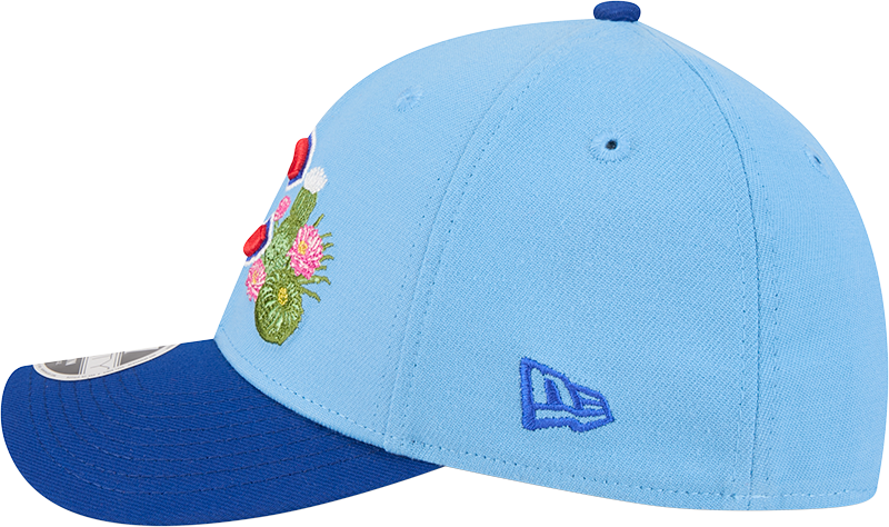 Chicago Cubs New Era 2026 Spring Training M-Crown 39Thirty Player Replica Blue Flex Fit Hat Official Team Hat Sports Fan Cap Official NFL Team Hat Football Fan Cap