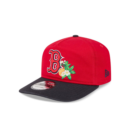 Boston Red Sox MLB 19Twenty Spring Training New Era Red/Navy Official Team Hat Sports Fan Cap Official NFL Team Hat Football Fan Cap
