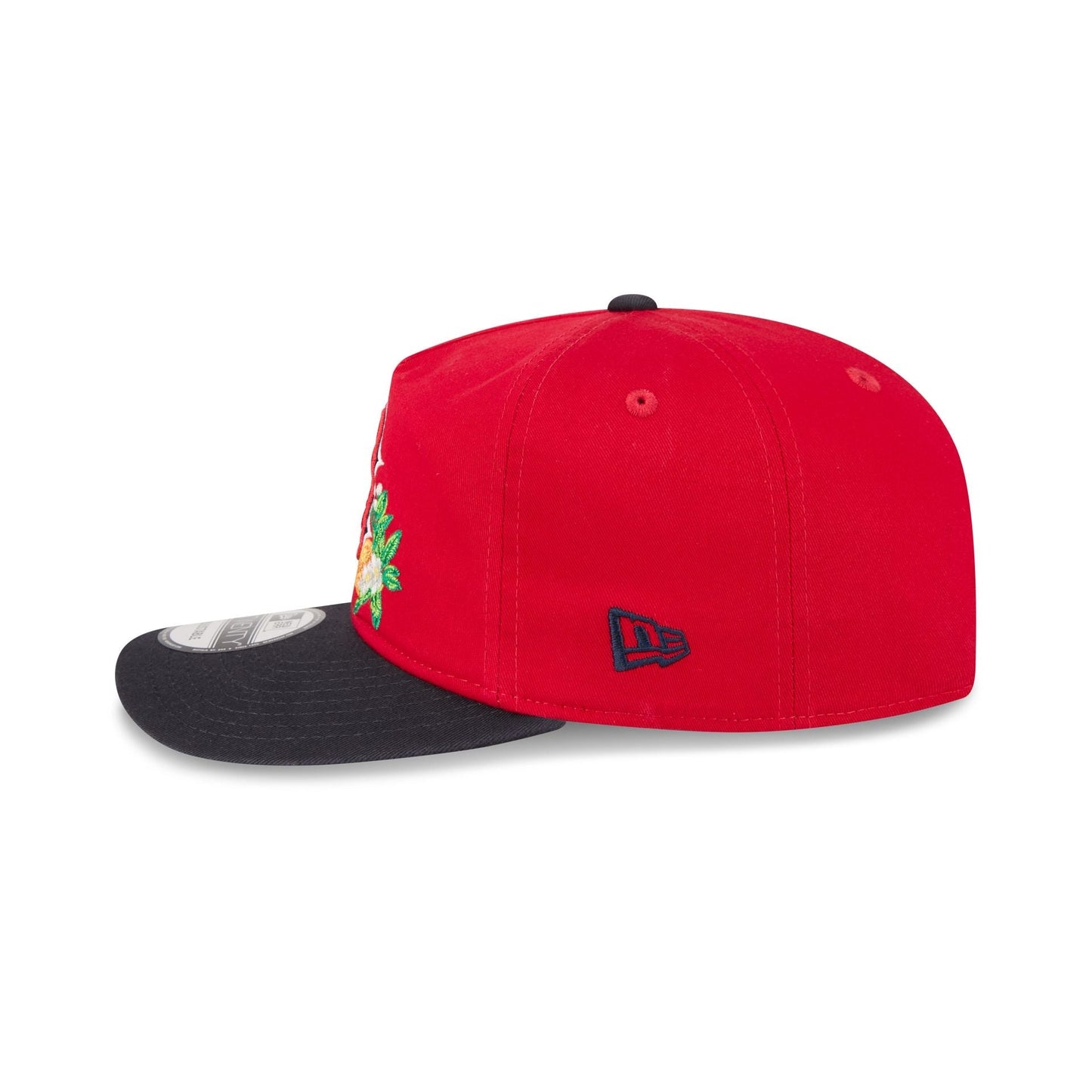 Boston Red Sox MLB 19Twenty Spring Training New Era Red/Navy Official Team Hat Sports Fan Cap Official NFL Team Hat Football Fan Cap