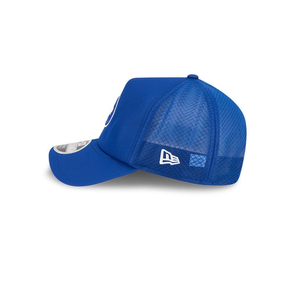 Chicago Cubs New Era 2026 Batting Practice 9Forty APEX Bullseye Logo Snap Adjustable Hat-Royal Official Team Hat Sports Fan Cap Official NFL Team Hat Football Fan Cap