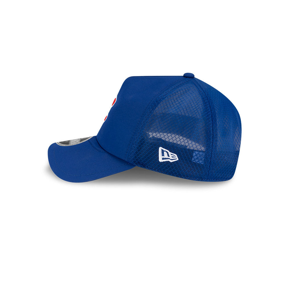 Chicago Cubs New Era 2026 Batting Practice 9Forty APEX "C" Logo Snap Adjustable Hat-Royal Official Team Hat Sports Fan Cap Official NFL Team Hat Football Fan Cap