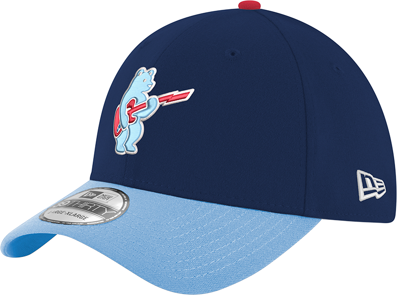 Chicago Cubs 2nd Alternate Guitar Bear Navy/Sky Blue New Era 39THIRTY Flex Hat Official Team Hat Sports Fan Cap Official NFL Team Hat Football Fan Cap