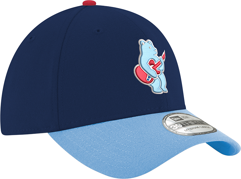 Chicago Cubs 2nd Alternate Guitar Bear Navy/Sky Blue New Era 39THIRTY Flex Hat Official Team Hat Sports Fan Cap Official NFL Team Hat Football Fan Cap