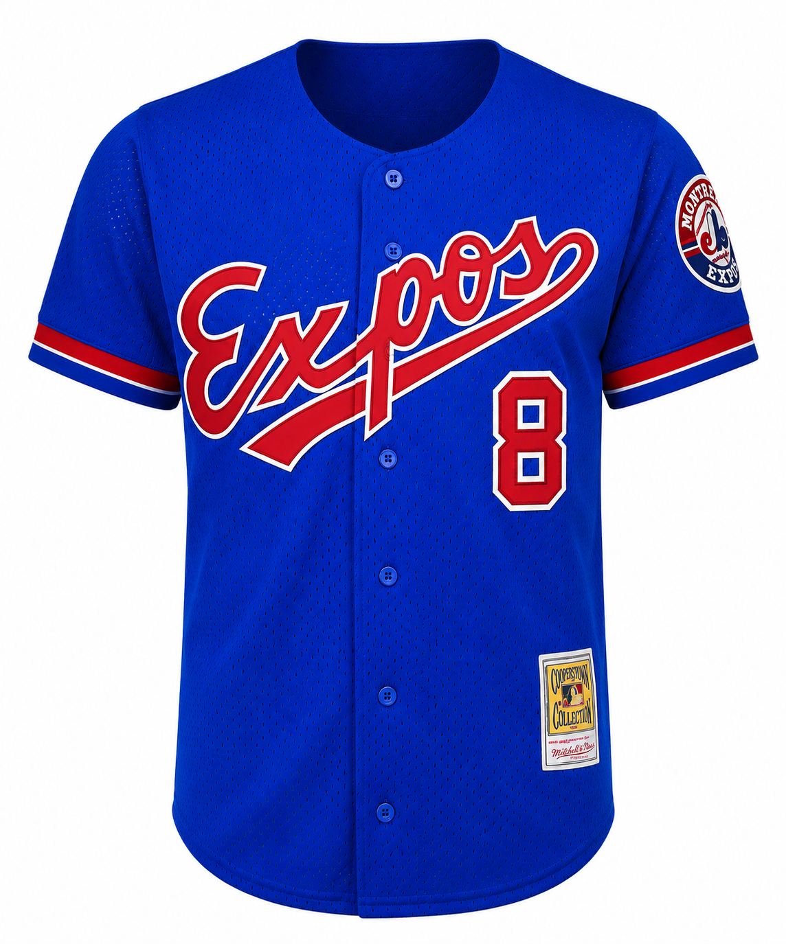 Men's Montreal Expos Gary Carter Mitchell & Ness Royal 1992 Authentic Cooperstown Collection Mesh Batting Practice Jersey Official Team Jersey Sports Fan Apparel Official NFL Team Jersey Football Fan Apparel