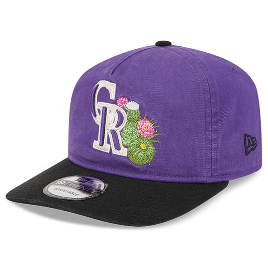 Colorado Rockies MLB 19Twenty Spring Training New Era Purple/Black Official Team Hat Sports Fan Cap Official NFL Team Hat Football Fan Cap