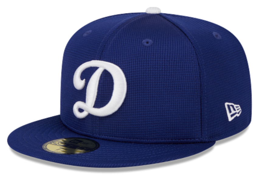 Los Angeles Dodgers New Era Royal 2025 Spring Training 59FIFTY Fitted Hat Official Team Hat Sports Fan Cap Official NFL Team Hat Football Fan Cap