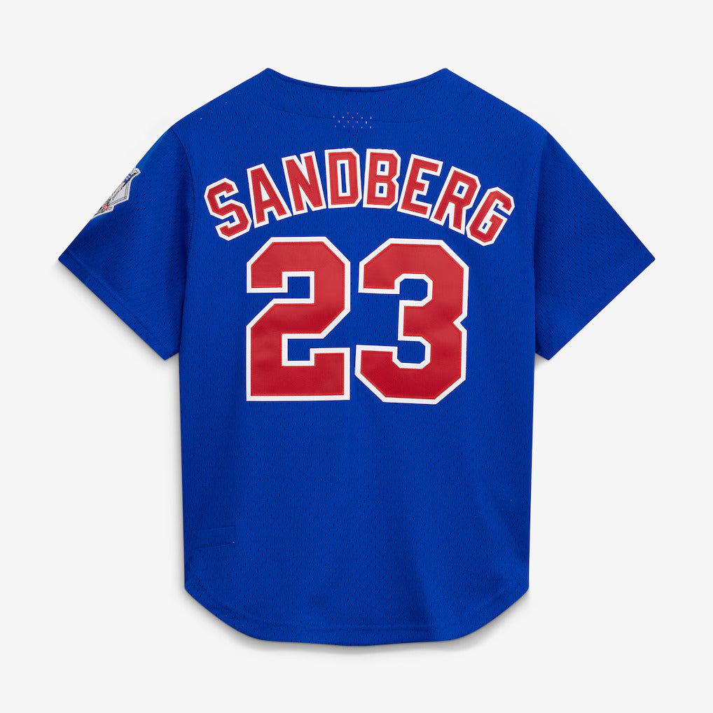 Mitchell & Ness Ryne Sandberg Chicago Cubs 1997 Authentic BP Button Down Jersey Official Team Jersey Sports Fan Apparel Official NFL Team Jersey Football Fan Apparel