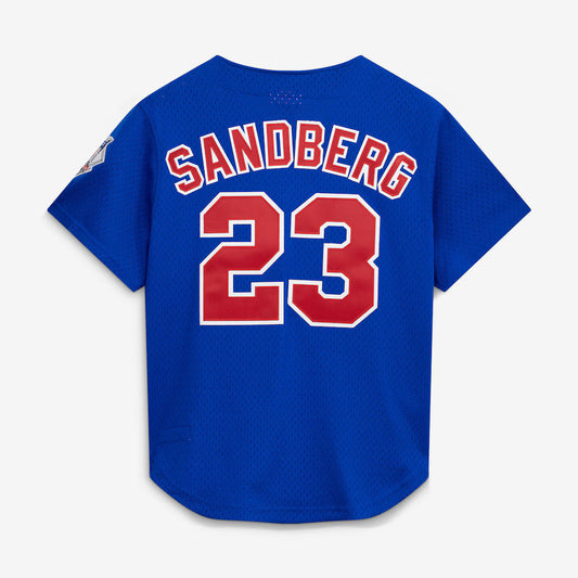 Mitchell & Ness Ryne Sandberg Chicago Cubs 1997 Authentic BP Button Down Jersey Official Team Jersey Sports Fan Apparel Official NFL Team Jersey Football Fan Apparel