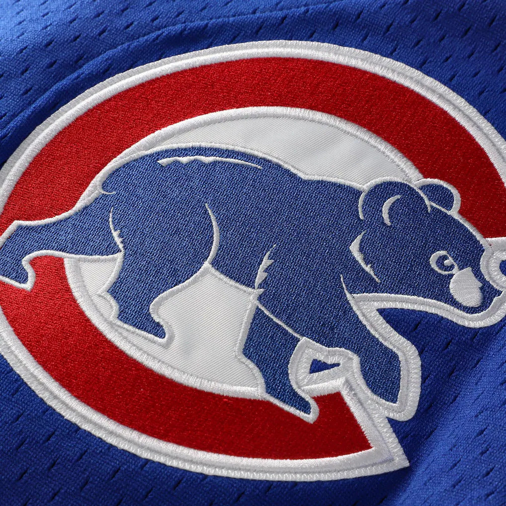 Mitchell & Ness Ryne Sandberg Chicago Cubs 1997 Authentic BP Button Down Jersey Official Team Jersey Sports Fan Apparel Official NFL Team Jersey Football Fan Apparel