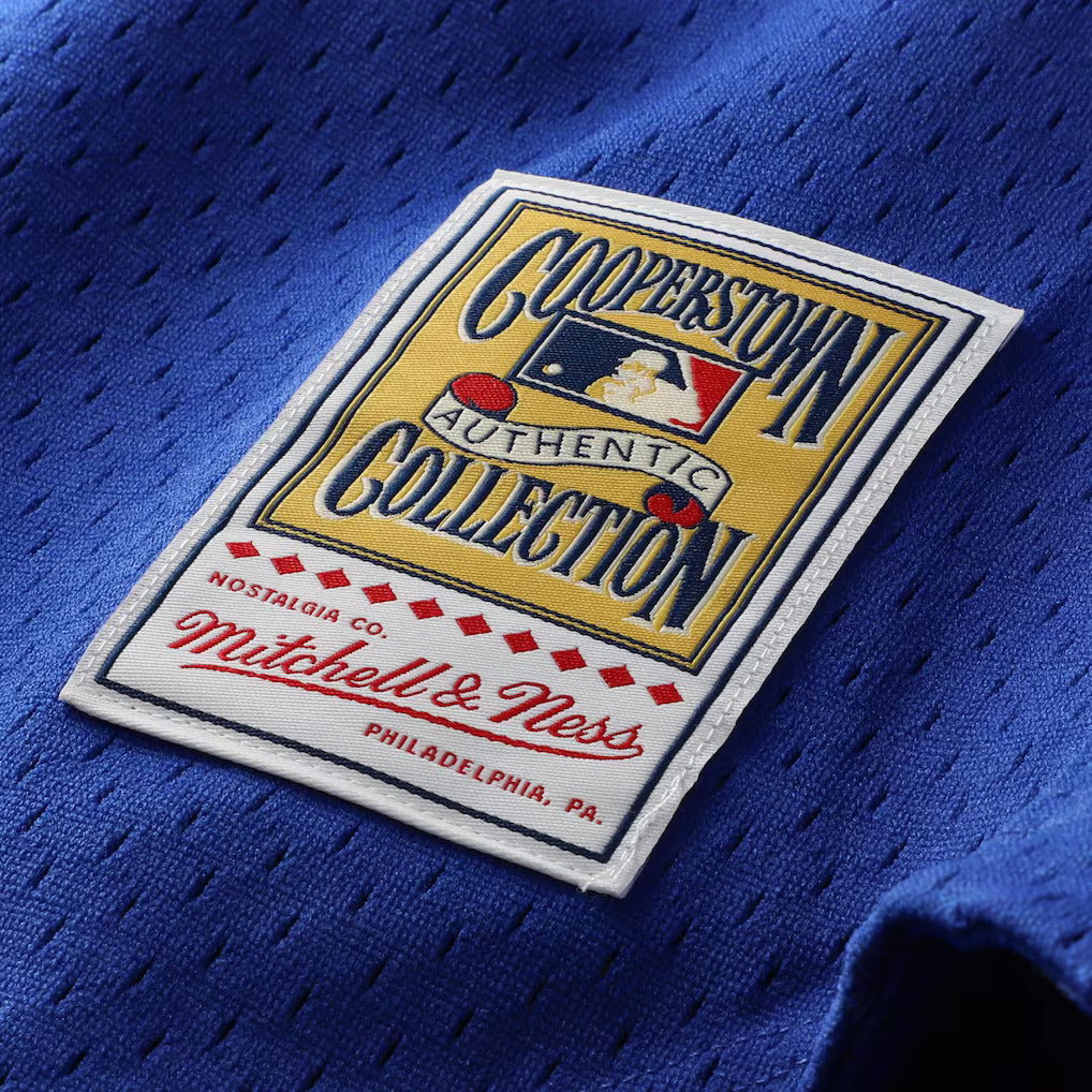 Mitchell & Ness Ryne Sandberg Chicago Cubs 1997 Authentic BP Button Down Jersey Official Team Jersey Sports Fan Apparel Official NFL Team Jersey Football Fan Apparel