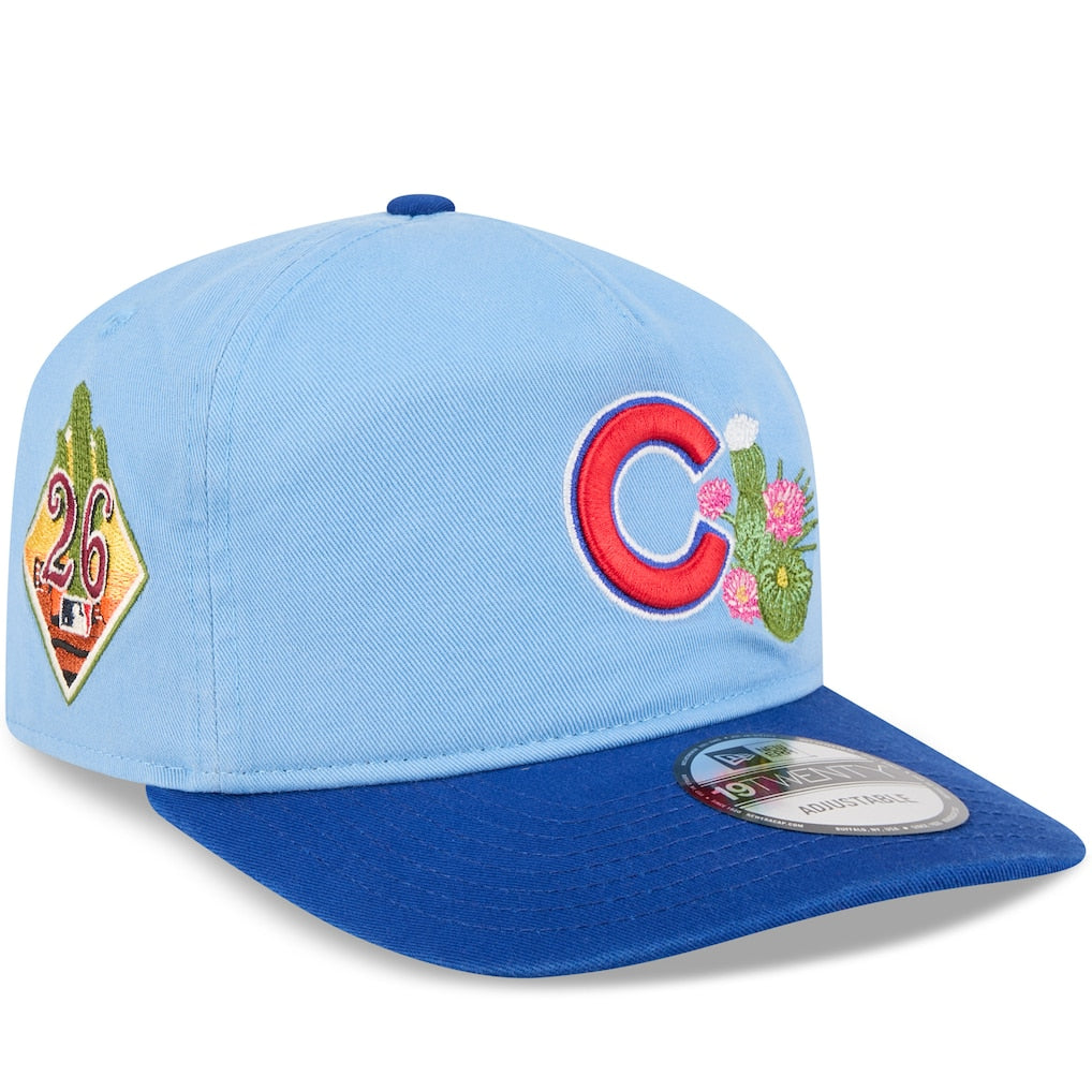 Chicago Cubs MLB 19Twenty Spring Training New Era Blue Official Team Hat Sports Fan Cap Official NFL Team Hat Football Fan Cap
